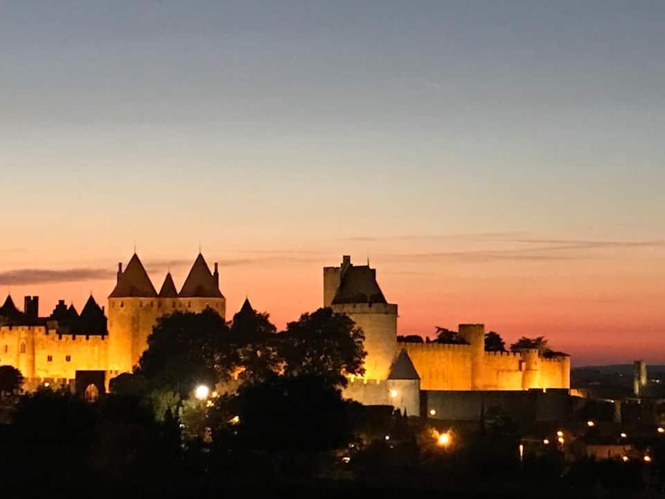 Chambre Avec Vue Panoramique Sur La Cite Medievale Carcassonne Extérieur photo